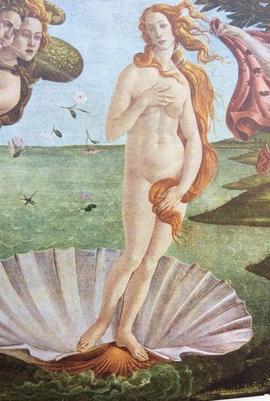 Bufanda PRIVATA Botticelli 'El nacimiento de venus'