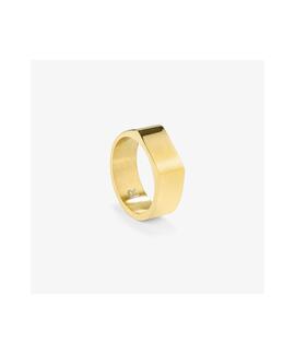 Anillo RADIANT Sello Slim Oro