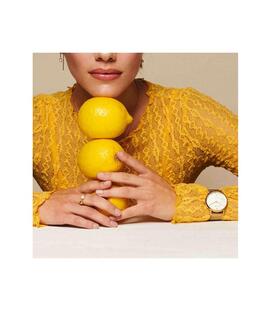 Reloj RADIANT Fomentor dorado malla milanesa