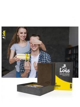 Cartera LOIS chico vertical marron cierre goma