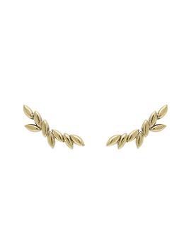 Pendientes P DE PAOLA Safari Gold