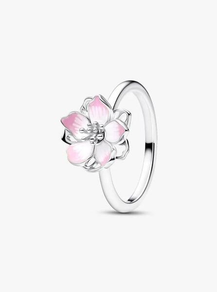 Gallery a29419 6kzey2p3