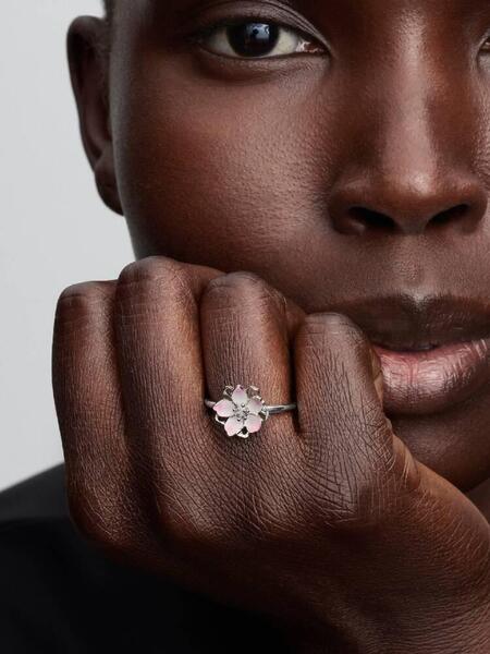 Gallery a29419 3xvfu5tz