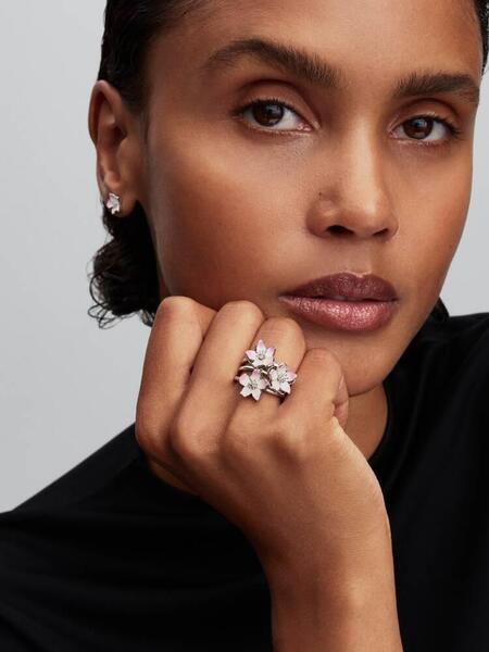 Gallery a29419 2nscb6vm