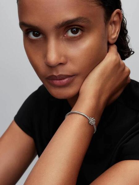 Gallery a29764 bqi1ionb